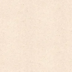 2M Wide Homogeneous Roll Flooring