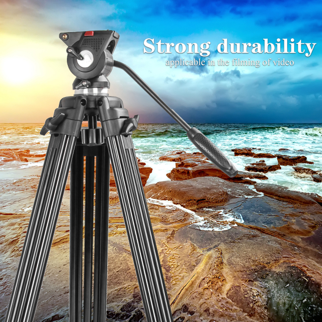 ZOMEi VT530 Professional Video Tripod 74 Inch with 360 Degree Fluid Drag Head, 1/4 Quick Release Plate for DV Cameras Camcorders