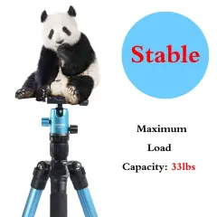 ZOMEi M3 Blue Compact Ball Head Tripod Kit 62.5 Inch for Wedding and Party Photography with Monopod Conversion