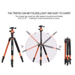 ZOMEi Q555 Lightweight Travel Tripod Kit 63-inch for Family Gatherings and Sports Activities Indoor and Outdoor Photography