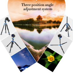 ZOMEI Z818 / Z888 Aluminum Sturdy Tripod Stand with 360 Degree Ball Head and Carry Case for YouTube Videos and Lighting Studio Support - Blue
