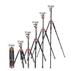 ZOMEI Z818 / Z888 Aluminum Sturdy Tripod Stand with 360 Degree Ball Head and Carry Case for YouTube Videos and Lighting Studio Support - Blue