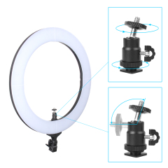 ZOMEi 18-inch LED Circle Ring Lights Soft for Skin Kit 50W with Tripod Stand and Phone Holder for Makeup Lighting