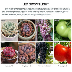 Tairoad plant LED Ring Light 7.5W Lighting Kit makes it possible to provide a wider range of lighting plants.