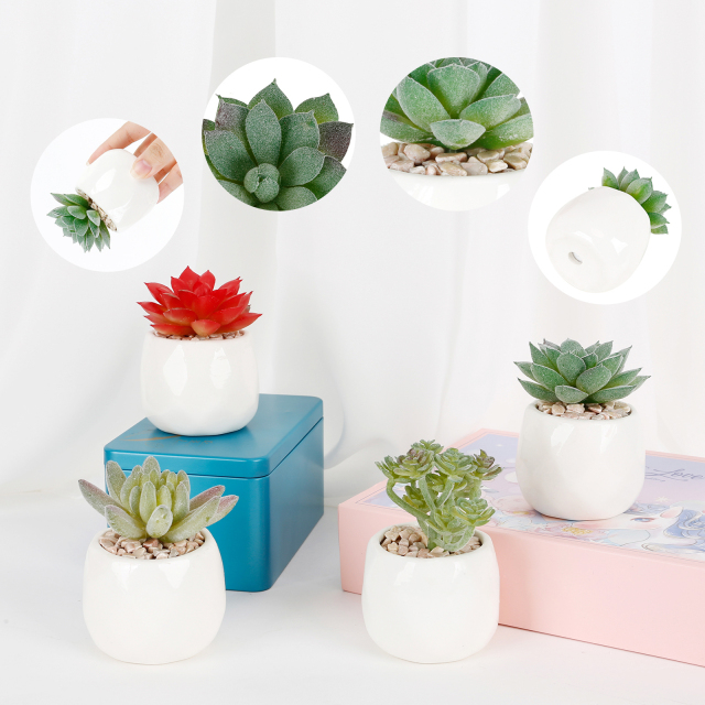 Karlesi Artificial Succulents in Pots Set of 4,Mini Potted Faux Succulents with White Ceramic Pot for Desk, Bedroom, Living Room, and Office Decorati