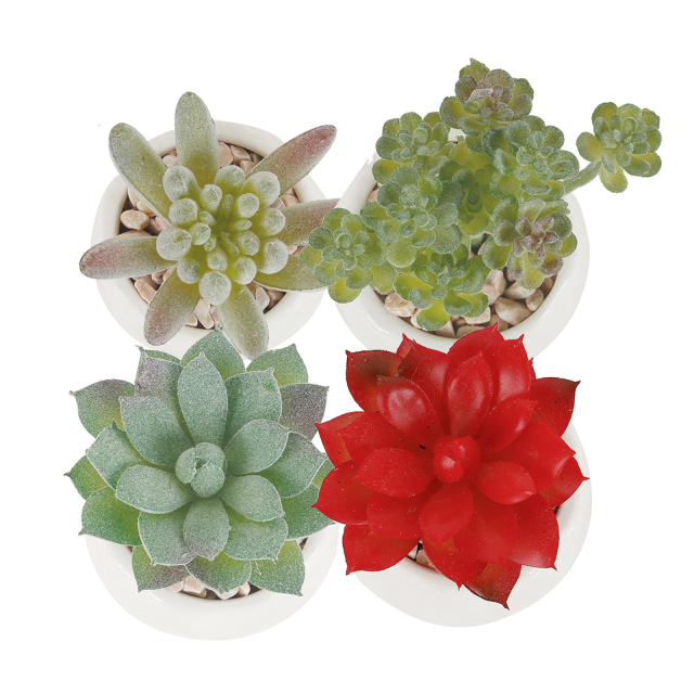 Karlesi Artificial Succulents in Pots Set of 4,Mini Potted Faux Succulents with White Ceramic Pot for Desk, Bedroom, Living Room, and Office Decorati