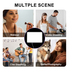 1 Packs LED Video Light with 50" Tripod Stand, Dimmable 2500-8500K Studio Conference Light, Built-in Battery for YouTube/TikTok/Vlog/Streaming