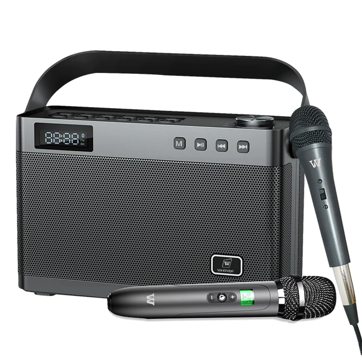 WinBridge T9 Portable PA System Karaoke Machine