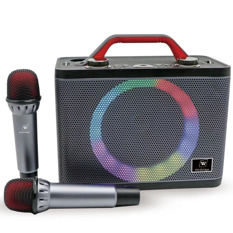 WinBridge T8 Ultra-Portable Karaoke Speaker
