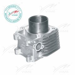 VM2103-16-134Cylinder complete