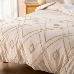 Delight Home Tufted embroidery duvet cover