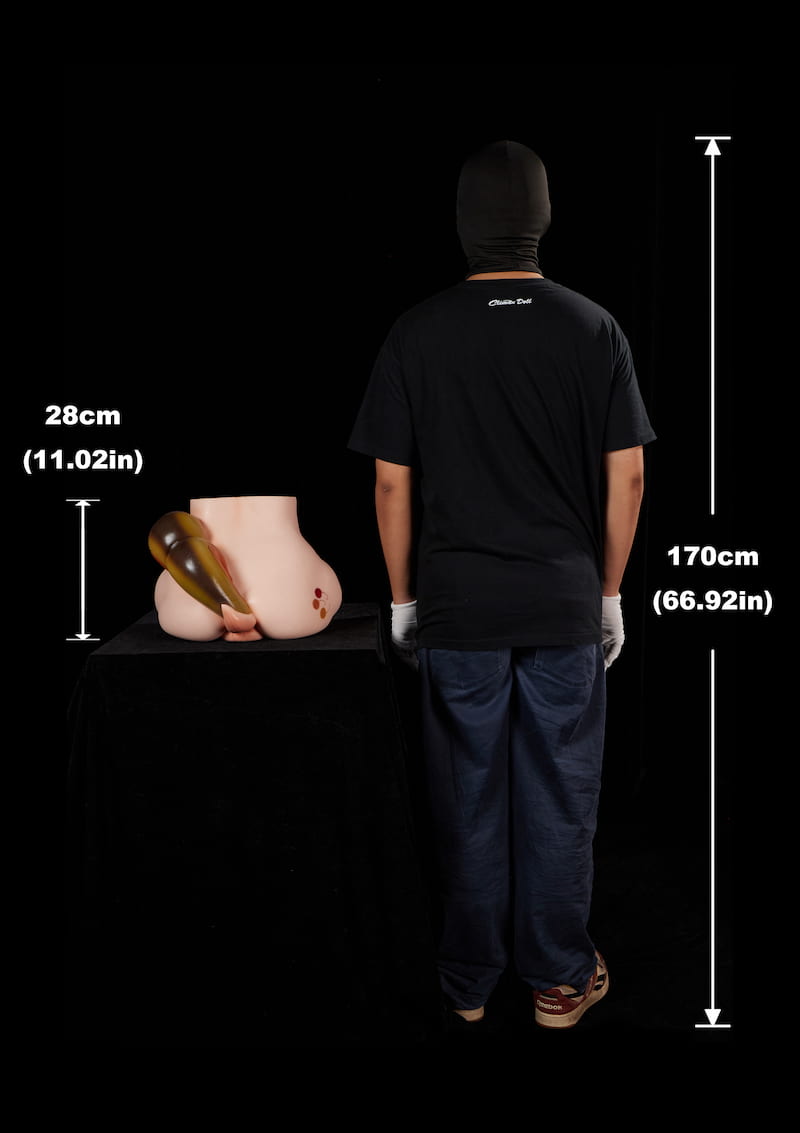 PA-Peppy: This rear-view comparison image displays the full back profile and tail of the product with a 28cm (11.02in) height label, placed next to a 170cm (66.92in) tall adult male from behind for a direct scale reference.