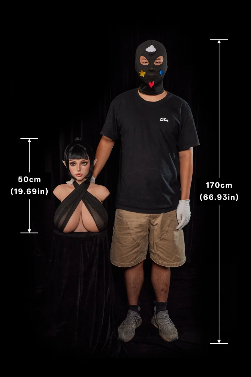 PW-U3 Rosetta torso size display with measurements, photo 1 of 5