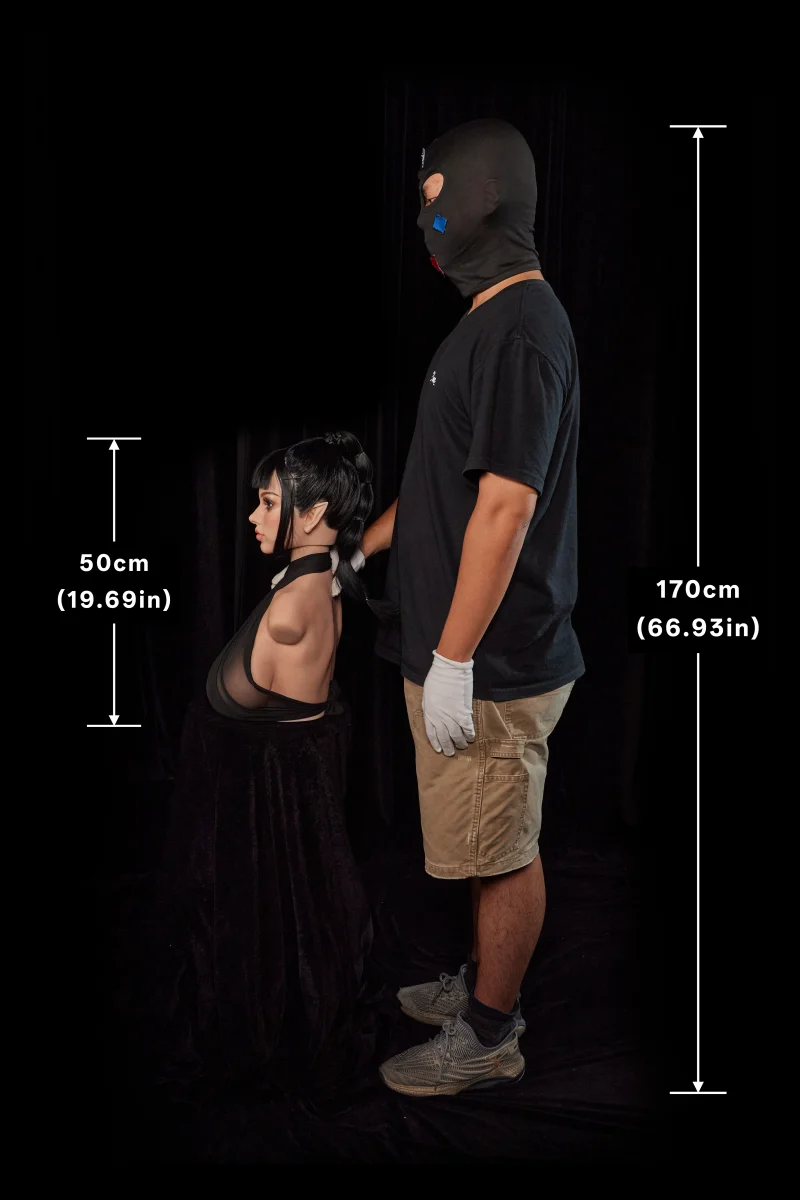 PW-U3 Rosetta torso size display with measurements, photo 2 of 5