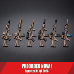 Easy&Simple 06048 NSWDG ASSAULT RIFLE CHRONOLOGY PART II N4 SET