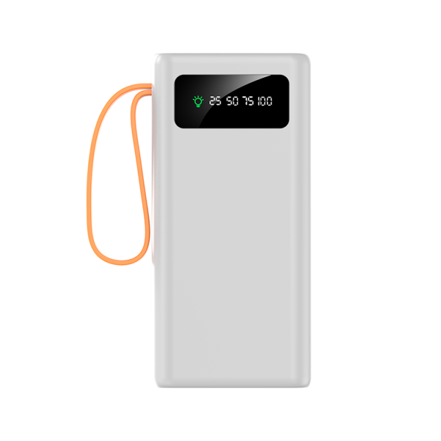Fast Charging Cell Phone Power Banks Outdoor Hight Capacity 30000Mah Powerbank With Camping Led Light