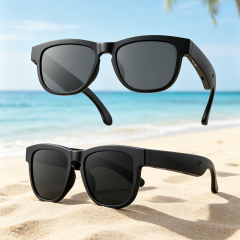 AI Smart TWS Audio Sunglasses, Bluetooth Music & Calling, AI Translation, Photochromic Blue Light Blocking Lenses, IPX4 Waterproof RC-SG029
