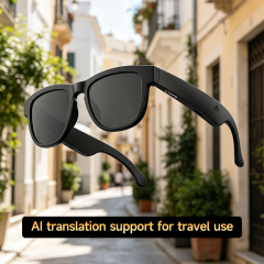 AI Smart TWS Audio Sunglasses, Bluetooth Music & Calling, AI Translation, Photochromic Blue Light Blocking Lenses, IPX4 Waterproof RC-SG029
