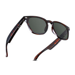 AI Audio (tortoiseshell) Sunglasses, Bluetooth Music & Calling, AI Translation, Photochromic Blue Light Blocking Lenses, IPX4 Waterproof RC-SG028