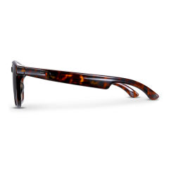 AI Audio (tortoiseshell) Sunglasses, Bluetooth Music & Calling, AI Translation, Photochromic Blue Light Blocking Lenses, IPX4 Waterproof RC-SG028