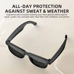 AI Smart TWS Audio Sunglasses, Bluetooth Music & Calling, AI Translation, Photochromic Blue Light Blocking Lenses, IPX4 Waterproof RC-SG029