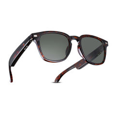 AI Audio (tortoiseshell) Sunglasses, Bluetooth Music & Calling, AI Translation, Photochromic Blue Light Blocking Lenses, IPX4 Waterproof RC-SG028