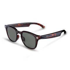 AI Audio (tortoiseshell) Sunglasses, Bluetooth Music & Calling, AI Translation, Photochromic Blue Light Blocking Lenses, IPX4 Waterproof RC-SG028