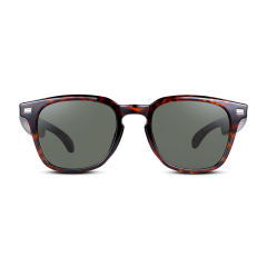 AI Audio (tortoiseshell) Sunglasses, Bluetooth Music & Calling, AI Translation, Photochromic Blue Light Blocking Lenses, IPX4 Waterproof RC-SG028