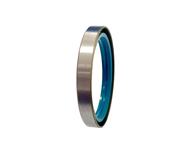 SB type oil seal