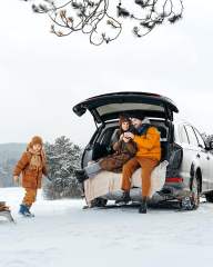 Snow Chains for Car SUV Pickup Trucks Car, Universal Adjustable Emergency Portable Snow Tire Chains, Tire Width 175 180 185 195 205 215 220 225 235 240 245 255 265 275 and More(KN130)