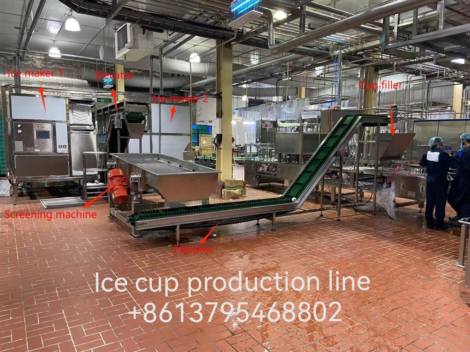 ICE CUP FACTORY DESIGN