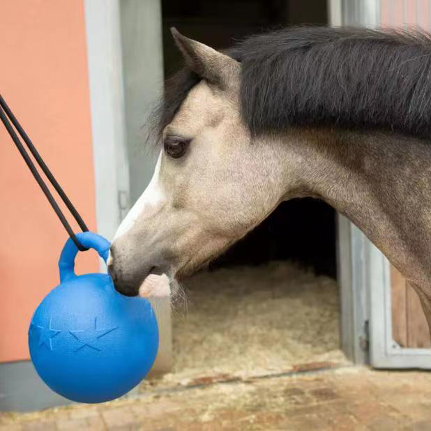 Rubber Horse Ball