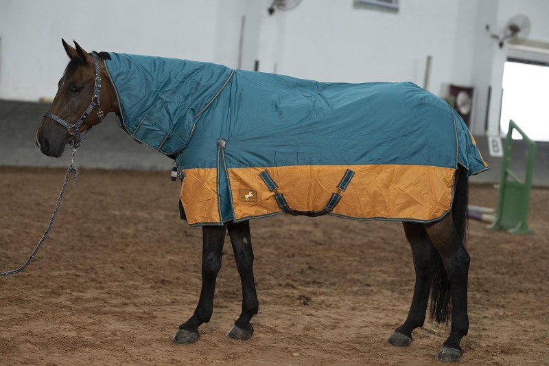 HORSEMATE 600D TURNOUT WINTER RUG TWO-TONE COLORS WITH COMBO NECK  280G POLYFILL