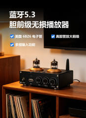 U30 bluetooth 5.3 6BZ6 tube preamplifier high-end electronic tube pre-amplifier with TF card and lossless player front audio amplifier and headphone amplifier