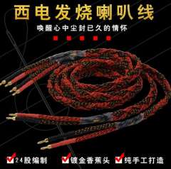 SLK American West Electric 24-strand pure copper speaker wire for loudspeakers and high-end audio systems