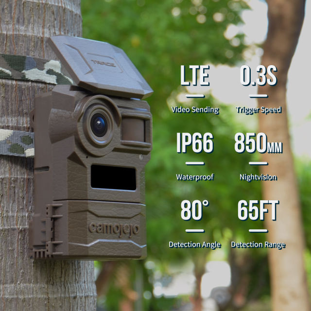 Camojojo Video Trail Camera, Instant Video Receiving & Playing, No HD Require