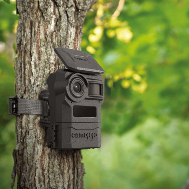 Camojojo Game Camera for Security, Live Stream, Video Free