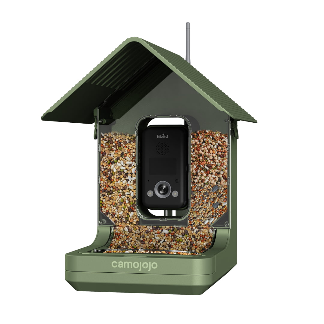 Camojojo Hibird Smart Bird Feeder With Camera Delivering Mp Photos