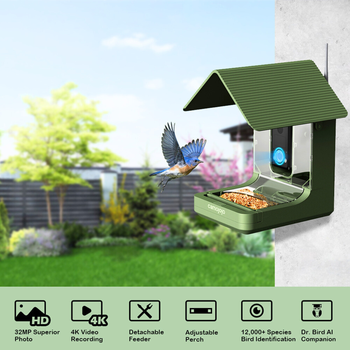 Camojojo Hibird Best Smart Bird Feeder Camera Delivering Mp Photos