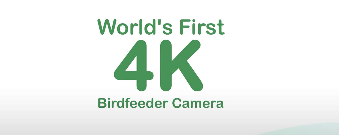 The World's First 4K<br> Smart Bird Feeder Camera