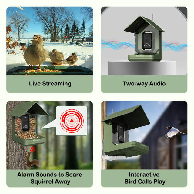 4K Birdhouse Camera with Night Vision & Wireless Streaming