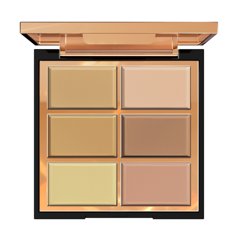 FV 6-Color Concealer Palette