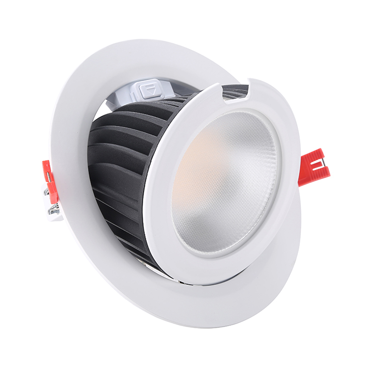 8 Inch 60W Gimbal LED Downlight – SMD01 Series - 20W/28W/38W/48W/60W