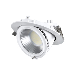 Gimbal LED Down Light – SMD01 Series - 20W/28W/38W