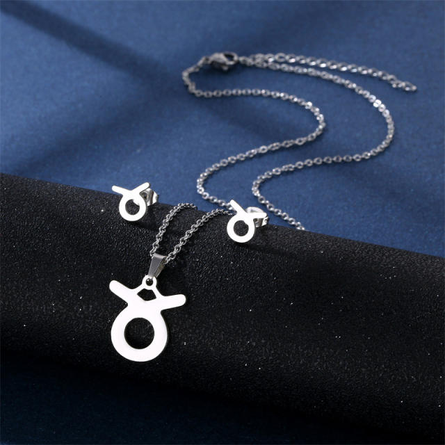 Stainless steel zodiac series necklace set