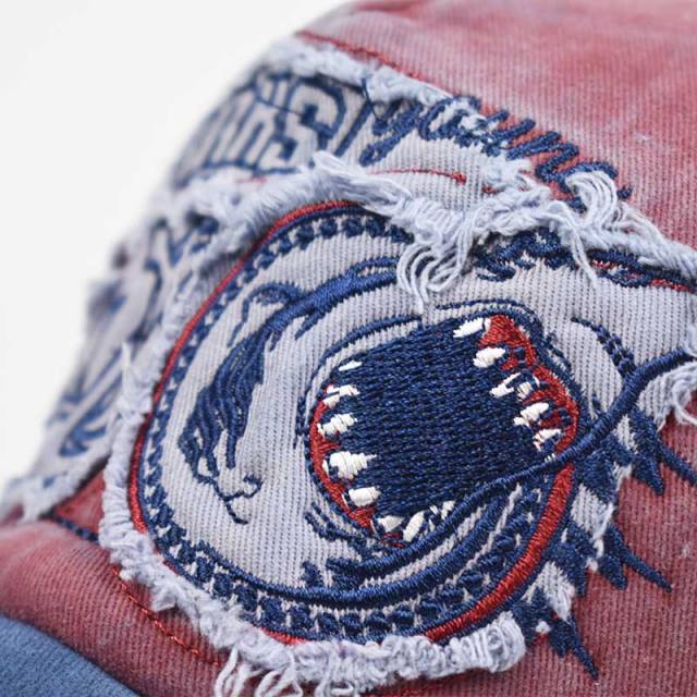 Anchor and shark embroidery baseball cap