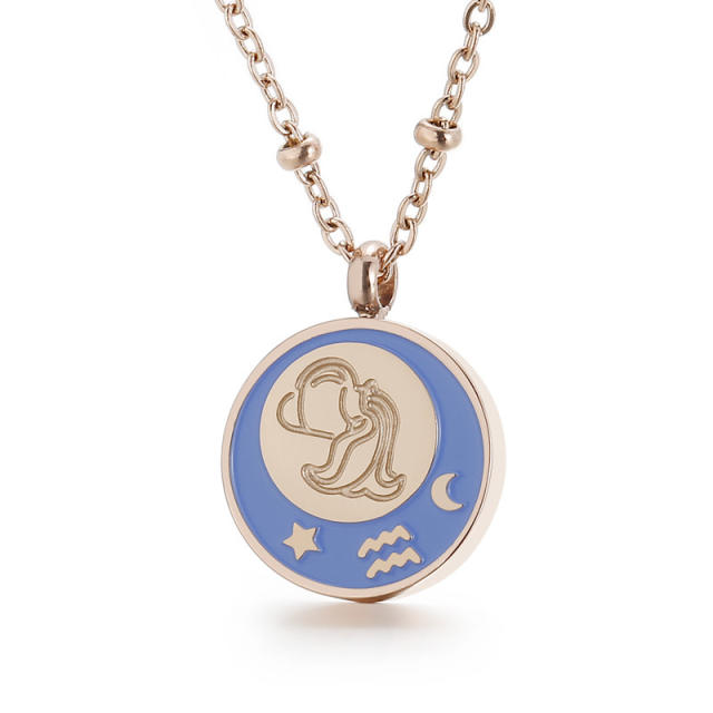 Stainless steel the zodiac pendant necklace