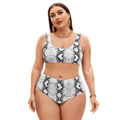 Snake pattern plus size two piece swimwear