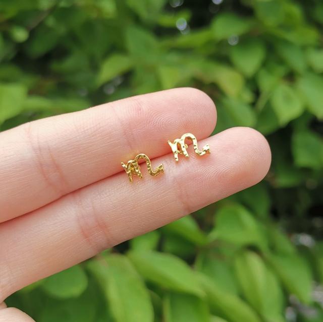 Twelve constellation ear studs