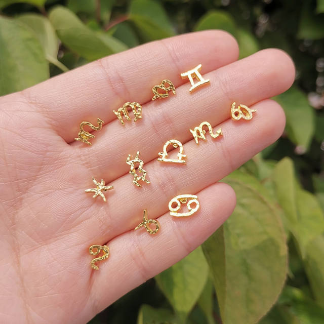 Twelve constellation ear studs